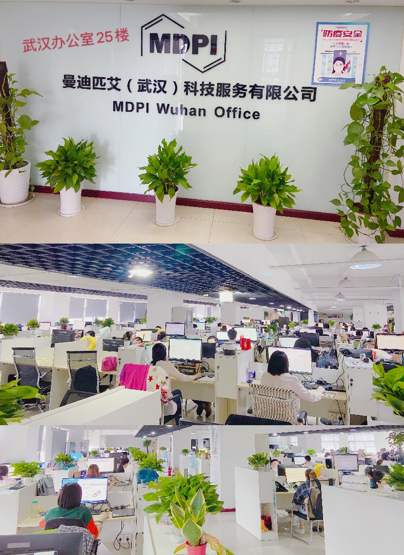 曼迪匹艾武汉科技服务有限公司